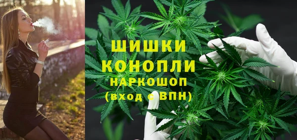 мдпв Бронницы