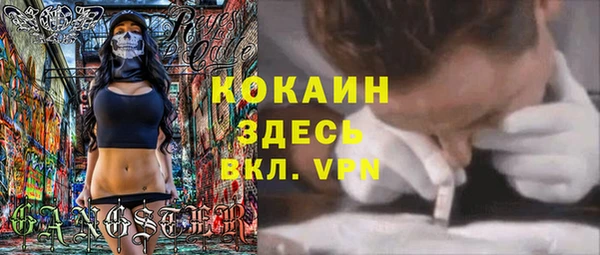 мдпв Бронницы