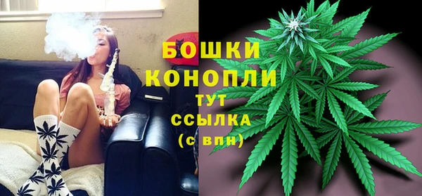 мдпв Бронницы