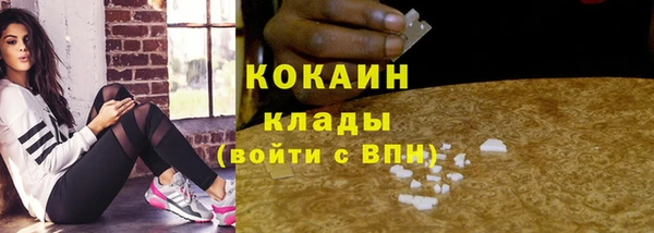 мдпв Бронницы