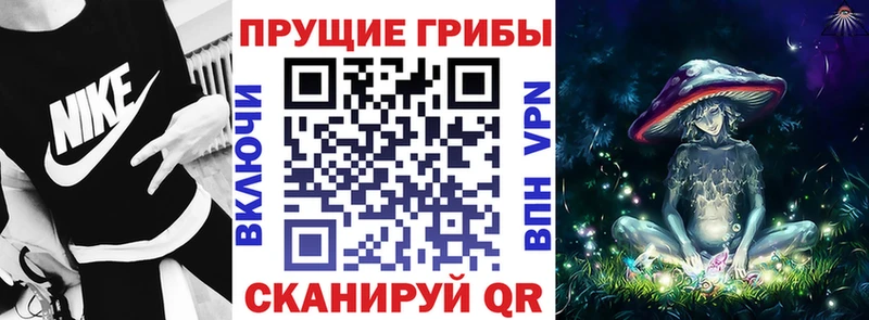 Галлюциногенные грибы Cubensis  как найти закладки  Владикавказ 